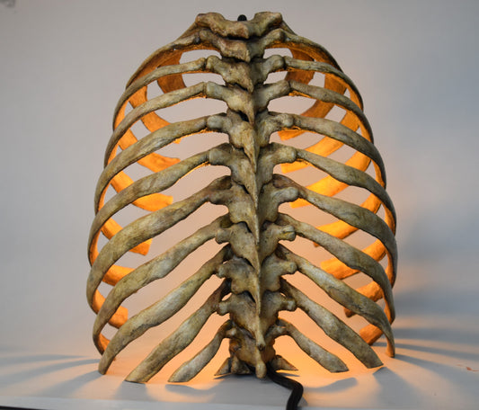 Rib Cage Lamp