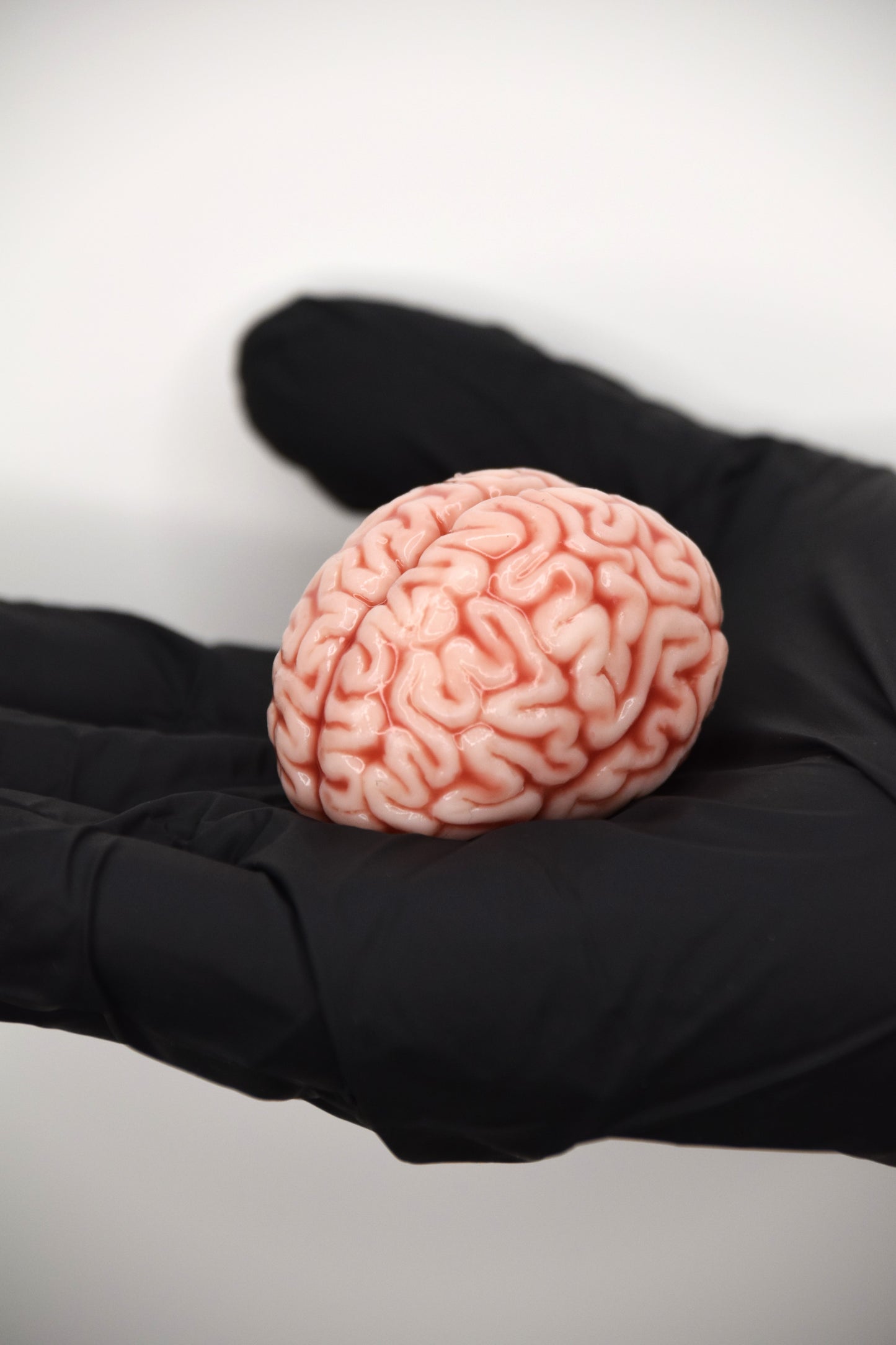 Realistic Mini Brain Figurine – Soft Anatomical Sculpture