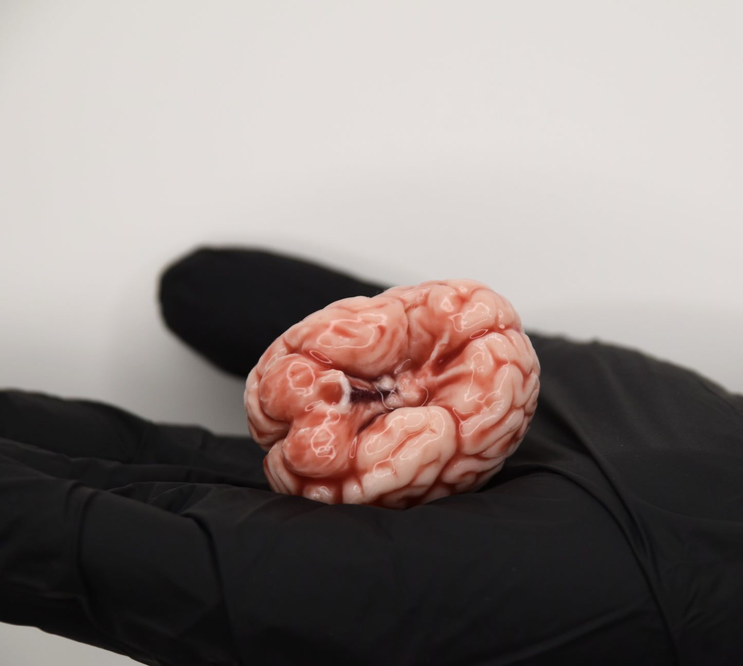 Realistic Mini Brain Figurine – Soft Anatomical Sculpture