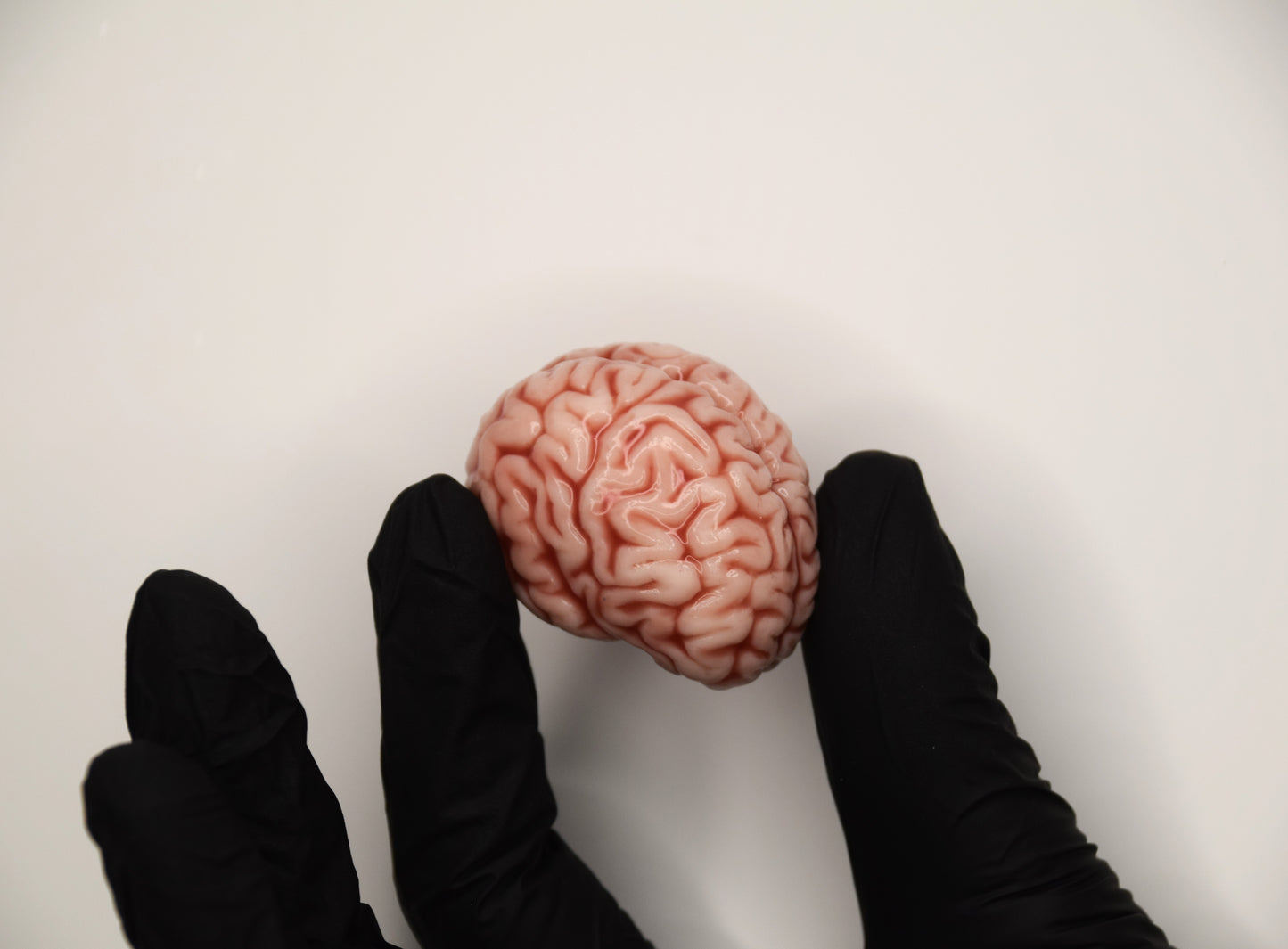 Realistic Mini Brain Figurine – Soft Anatomical Sculpture