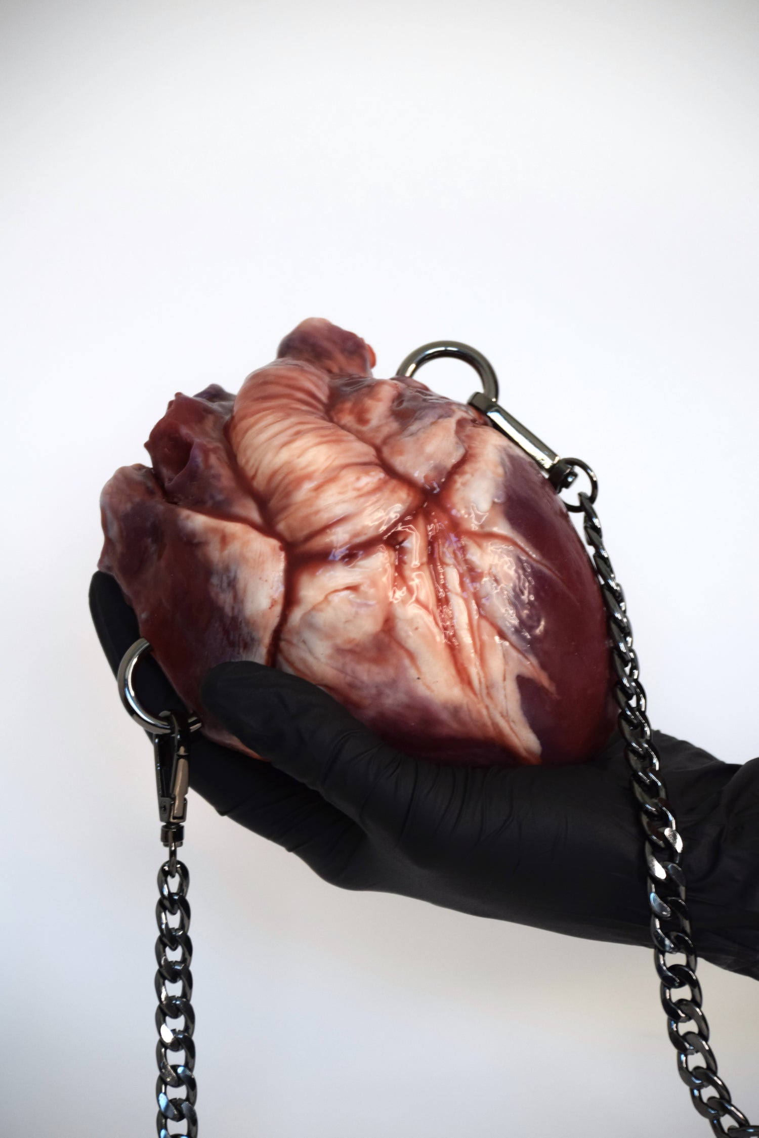 realistic human heart, real heart, life siza heart