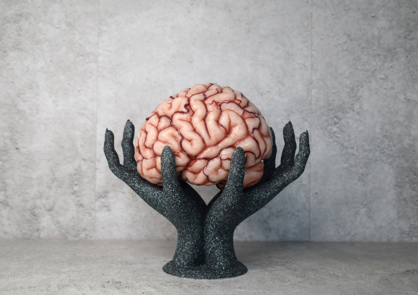 Realistic human brain life size, anatomically accurate