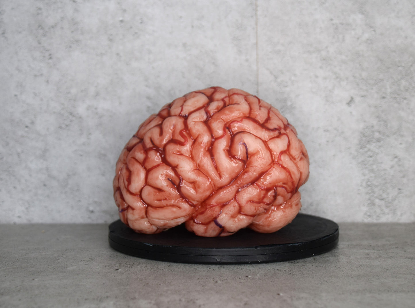 SALE up to 50 % OFF Realistic human brain life size, anatomically accurate