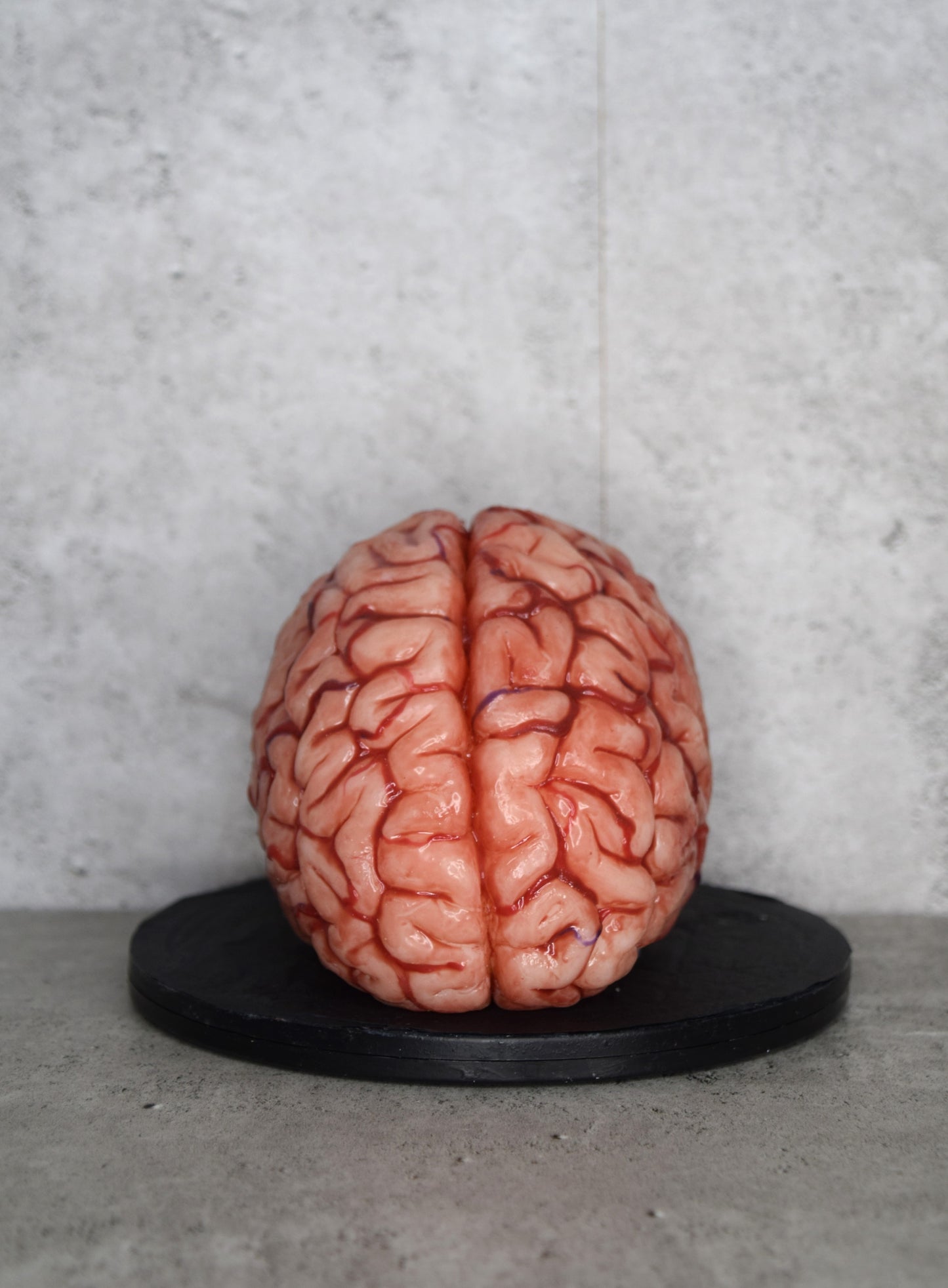 SALE up to 50 % OFF Realistic human brain life size, anatomically accurate