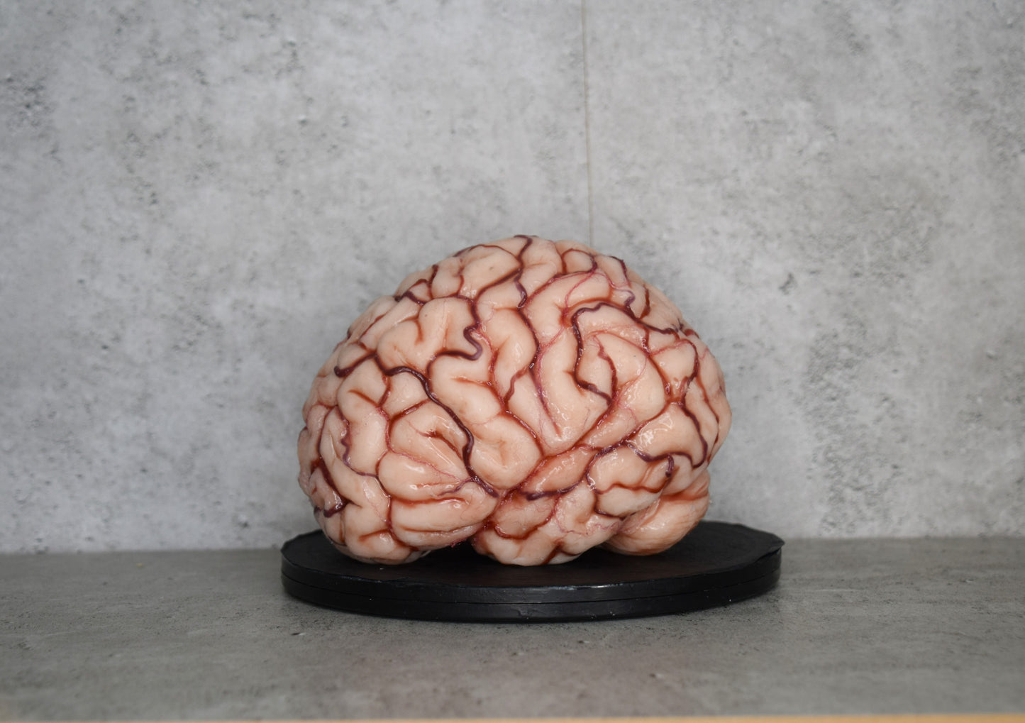 SALE up to 50 % OFF Realistic human brain life size, anatomically accurate