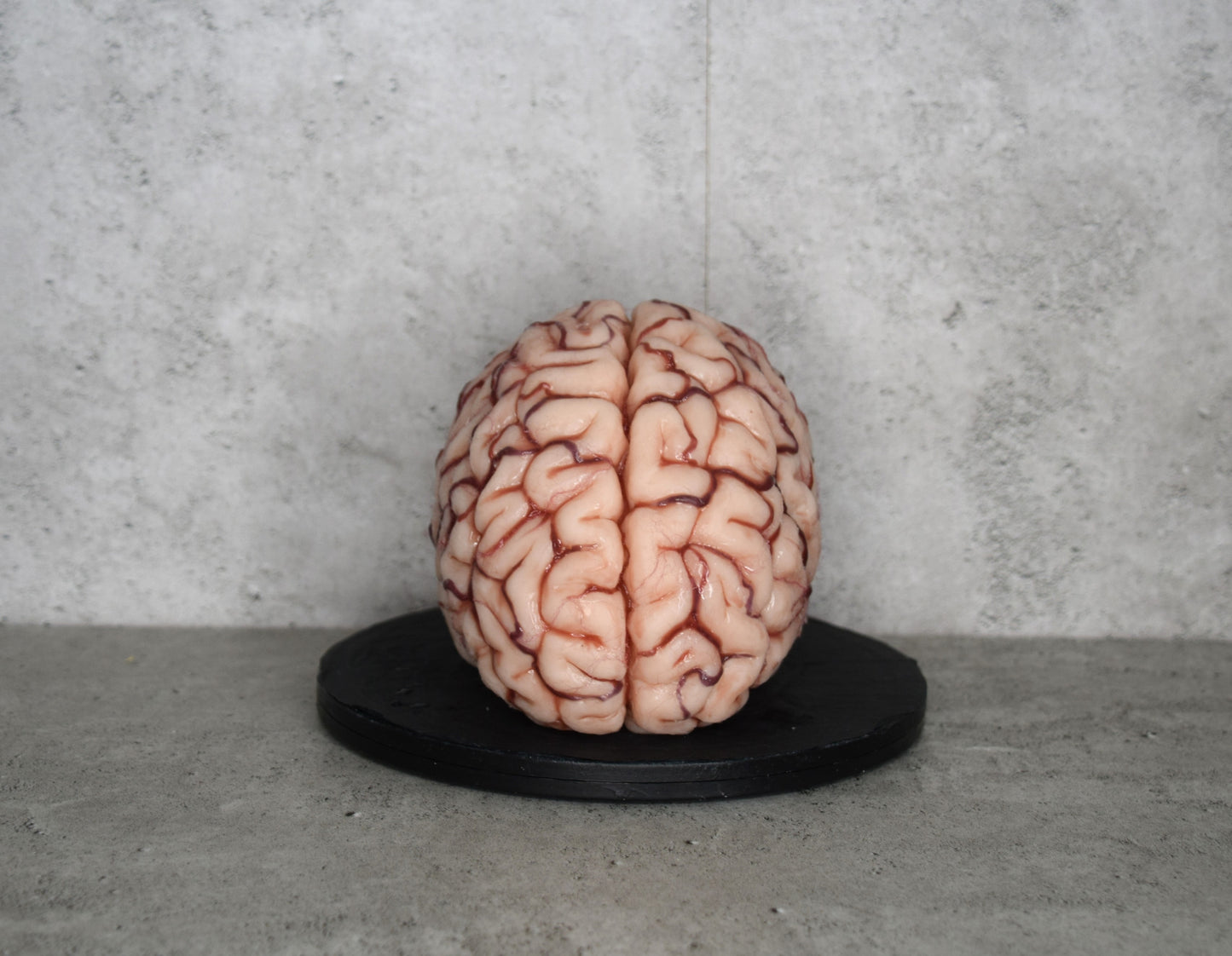 SALE up to 50 % OFF Realistic human brain life size, anatomically accurate