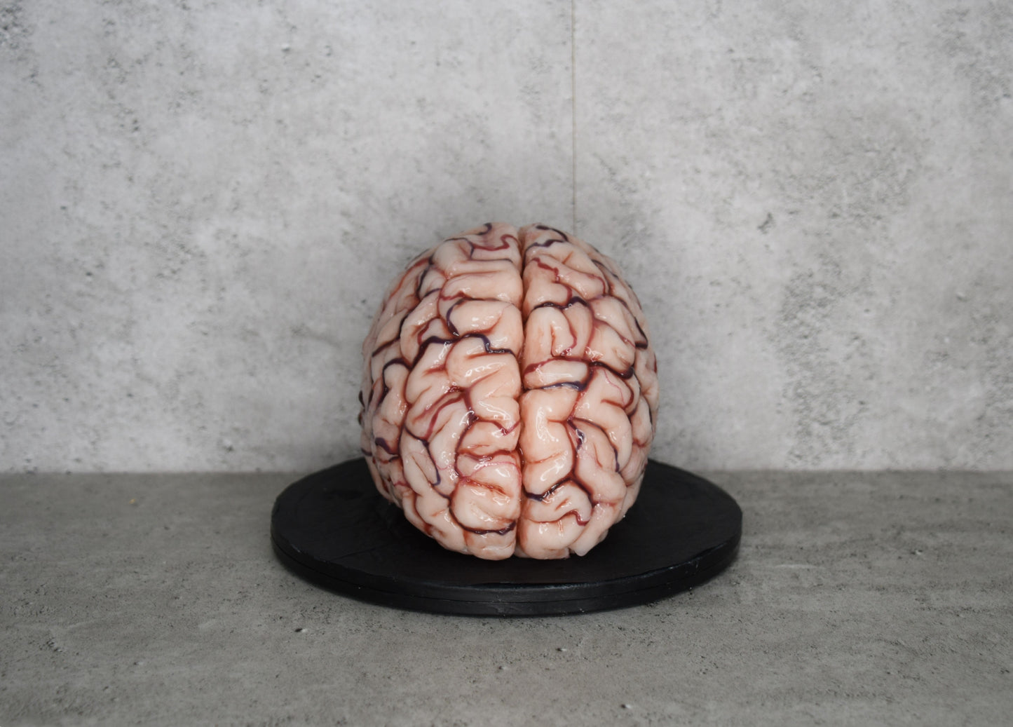 SALE up to 50 % OFF Realistic human brain life size, anatomically accurate