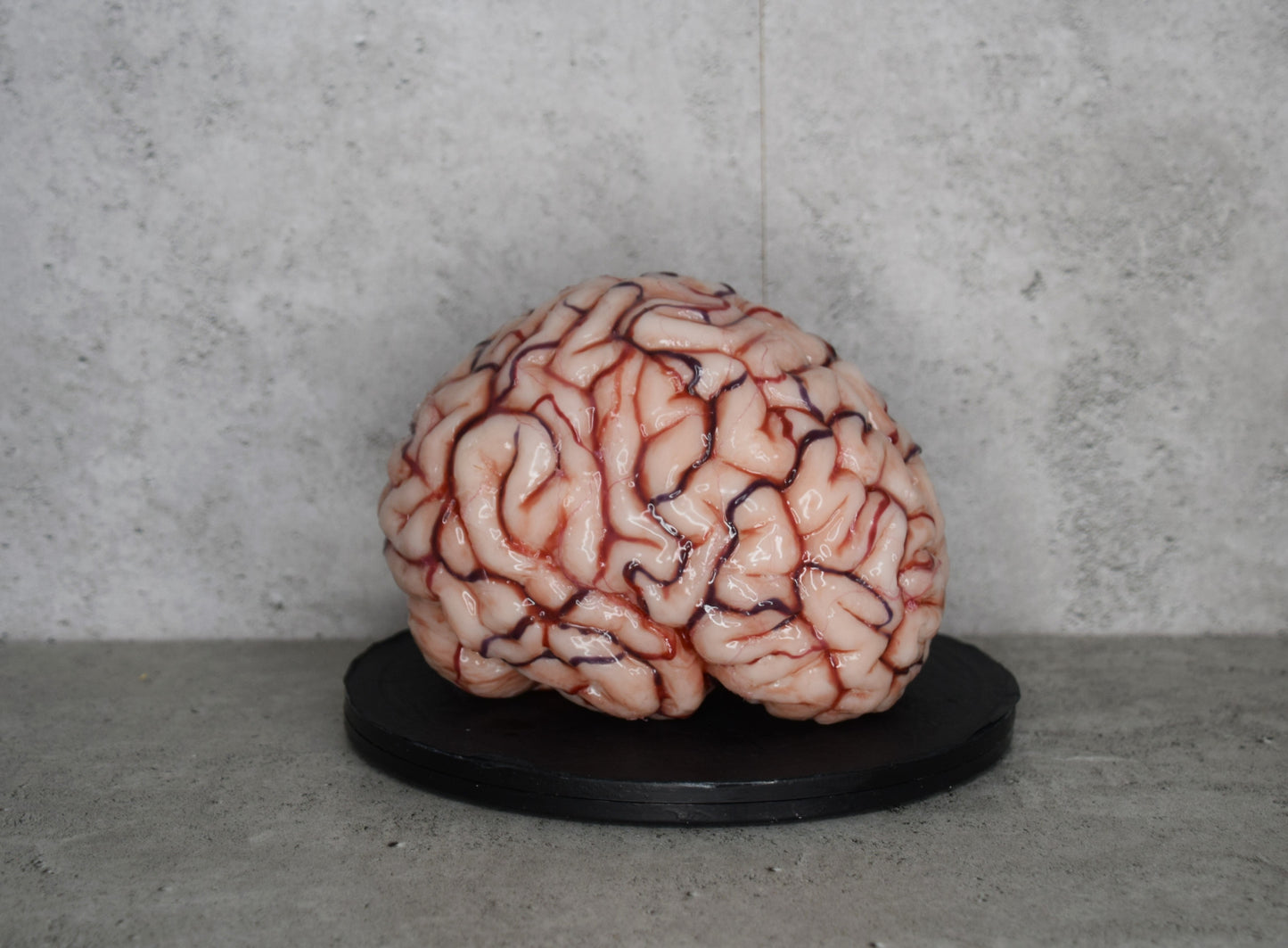 SALE up to 50 % OFF Realistic human brain life size, anatomically accurate