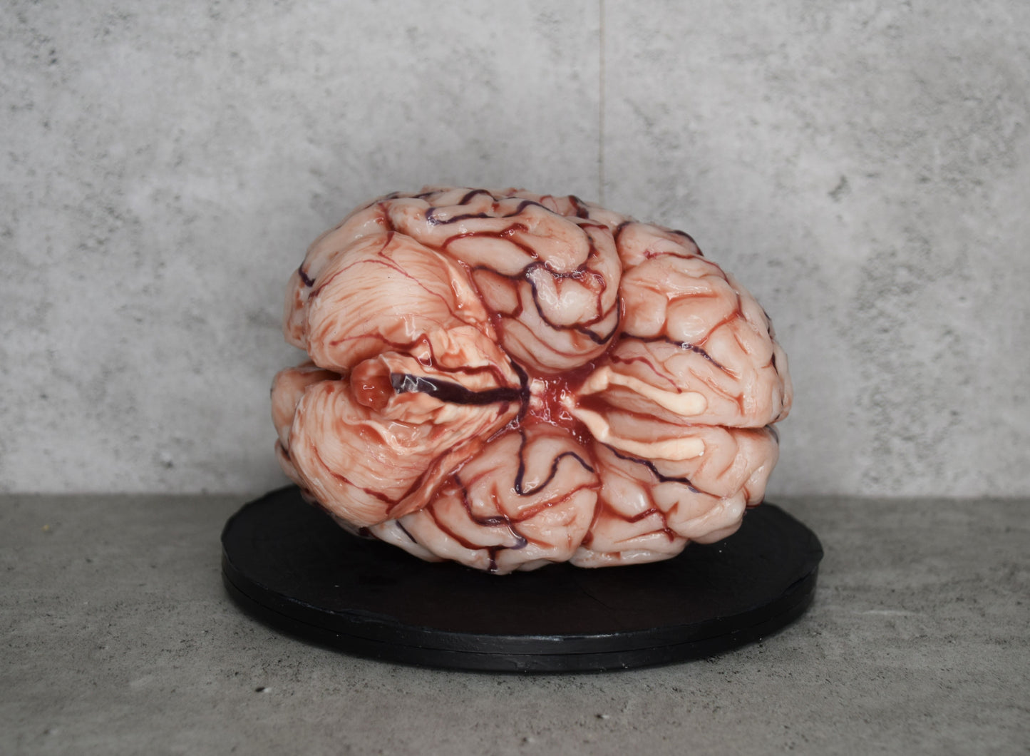 SALE up to 50 % OFF Realistic human brain life size, anatomically accurate