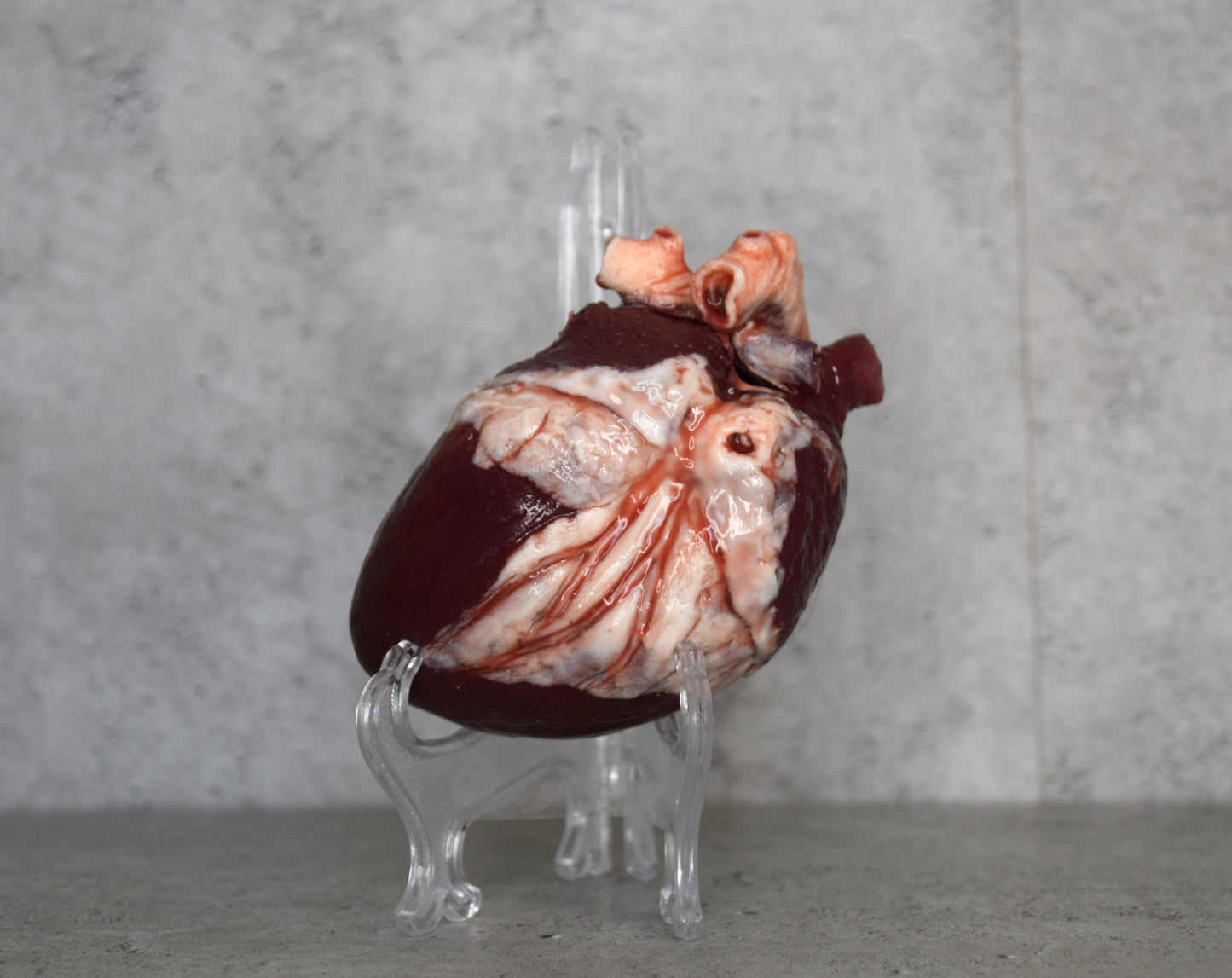 SALE up to 70 % OFF Hollow Human heart