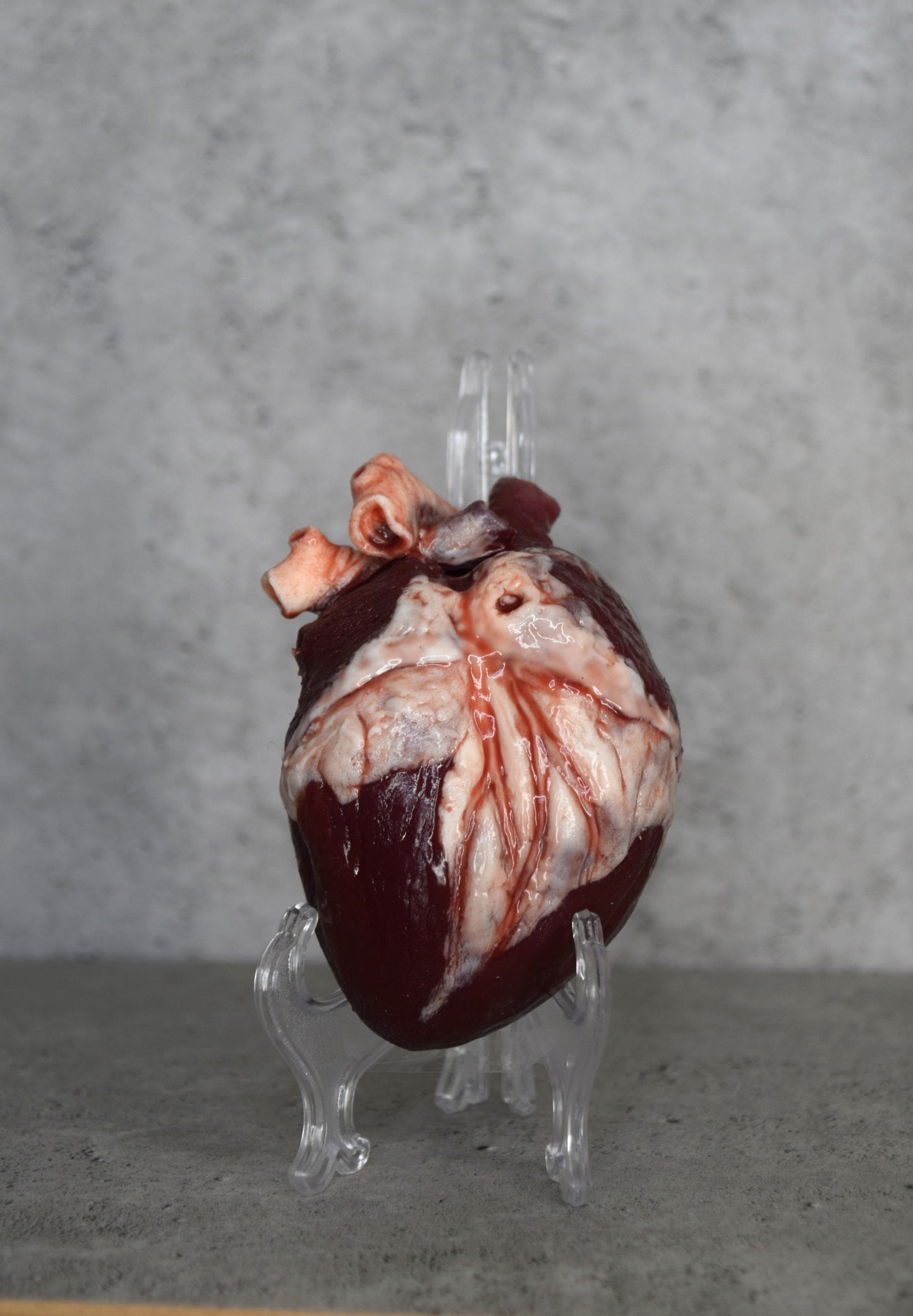 SALE up to 70 % OFF Hollow Human heart