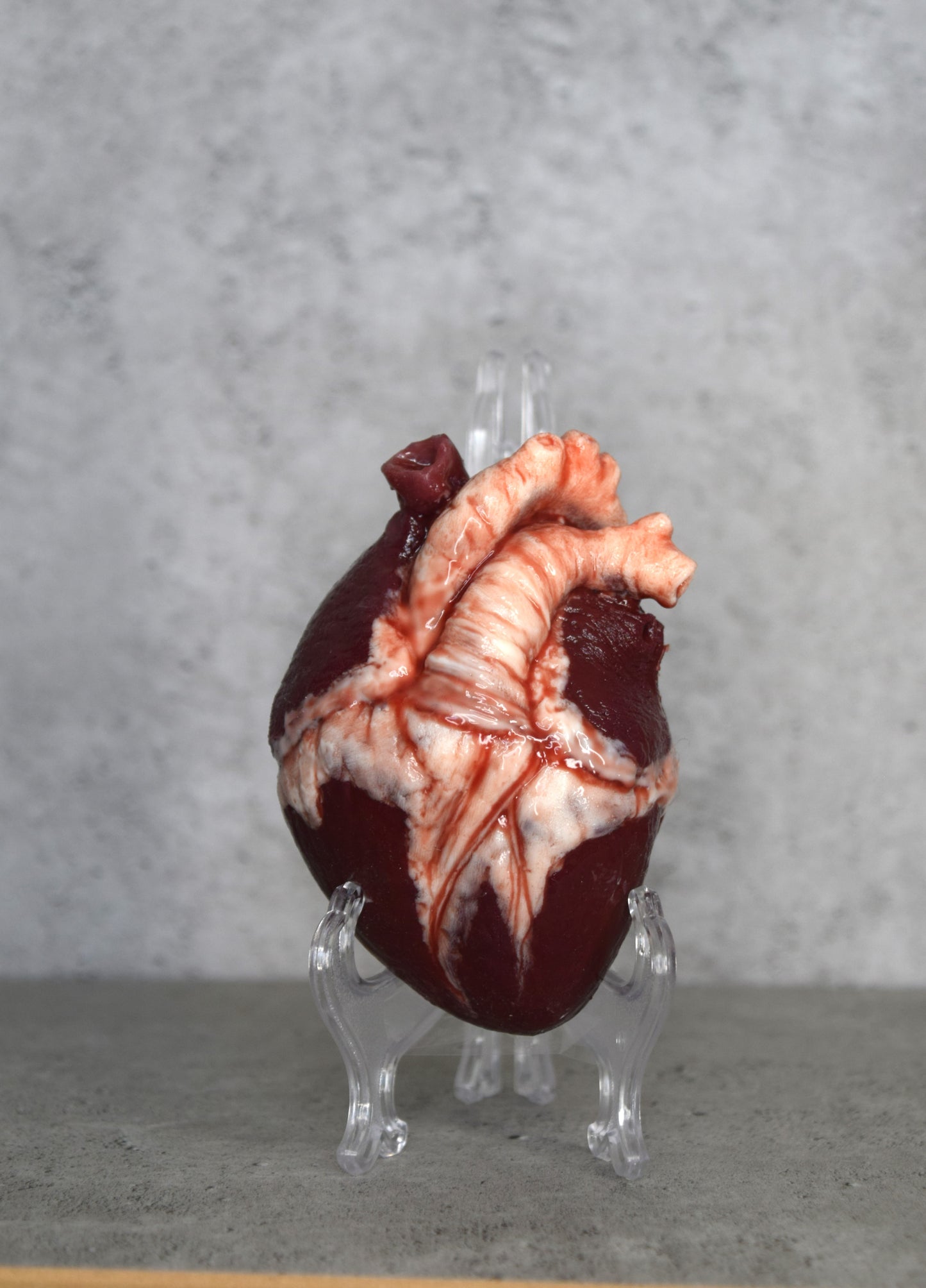 SALE up to 70 % OFF Hollow Human heart