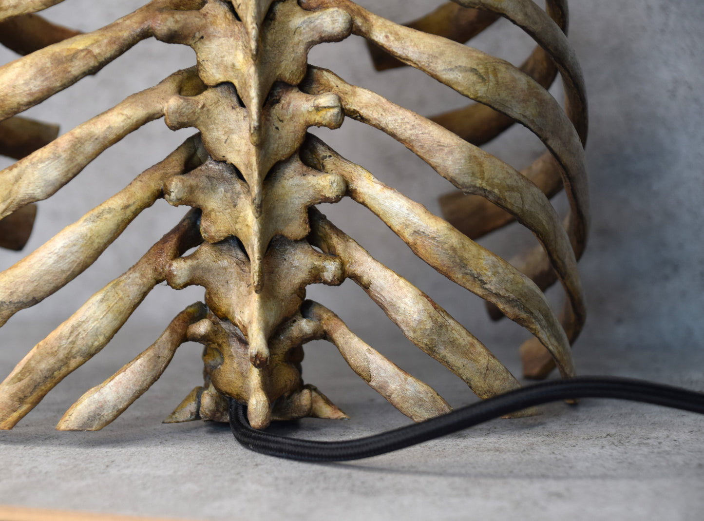 Rib Cage Lamp