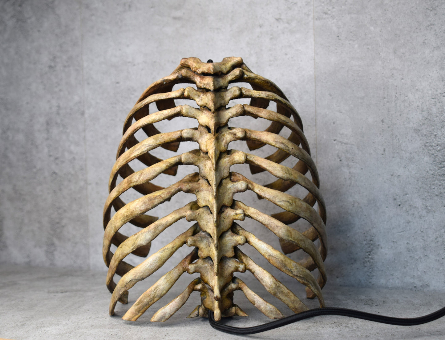 Rib Cage Lamp