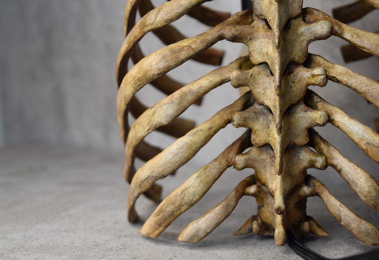 Rib Cage Lamp
