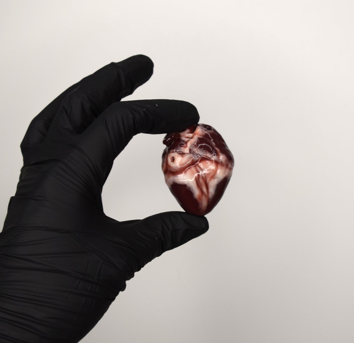 Realistic Anatomical Heart Mini – Soft Squeeze Keychain or Figurine