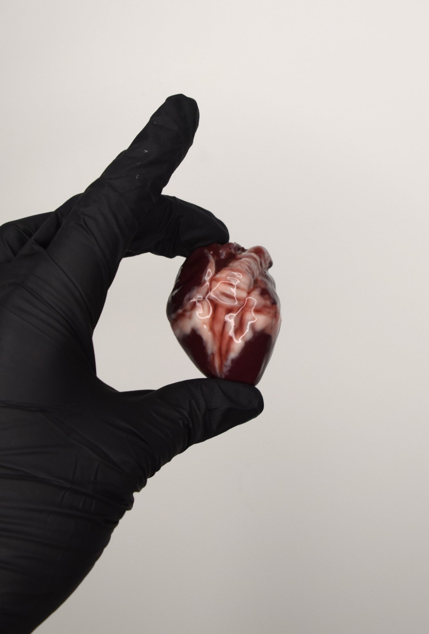 Realistic Anatomical Heart Mini – Soft Squeeze Keychain or Figurine
