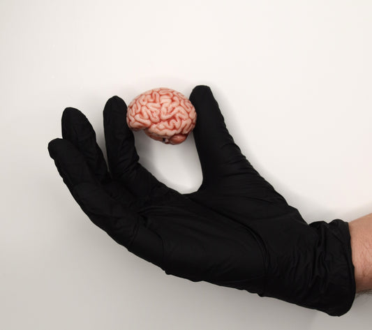 Realistic Mini Brain Figurine – Soft Anatomical Sculpture