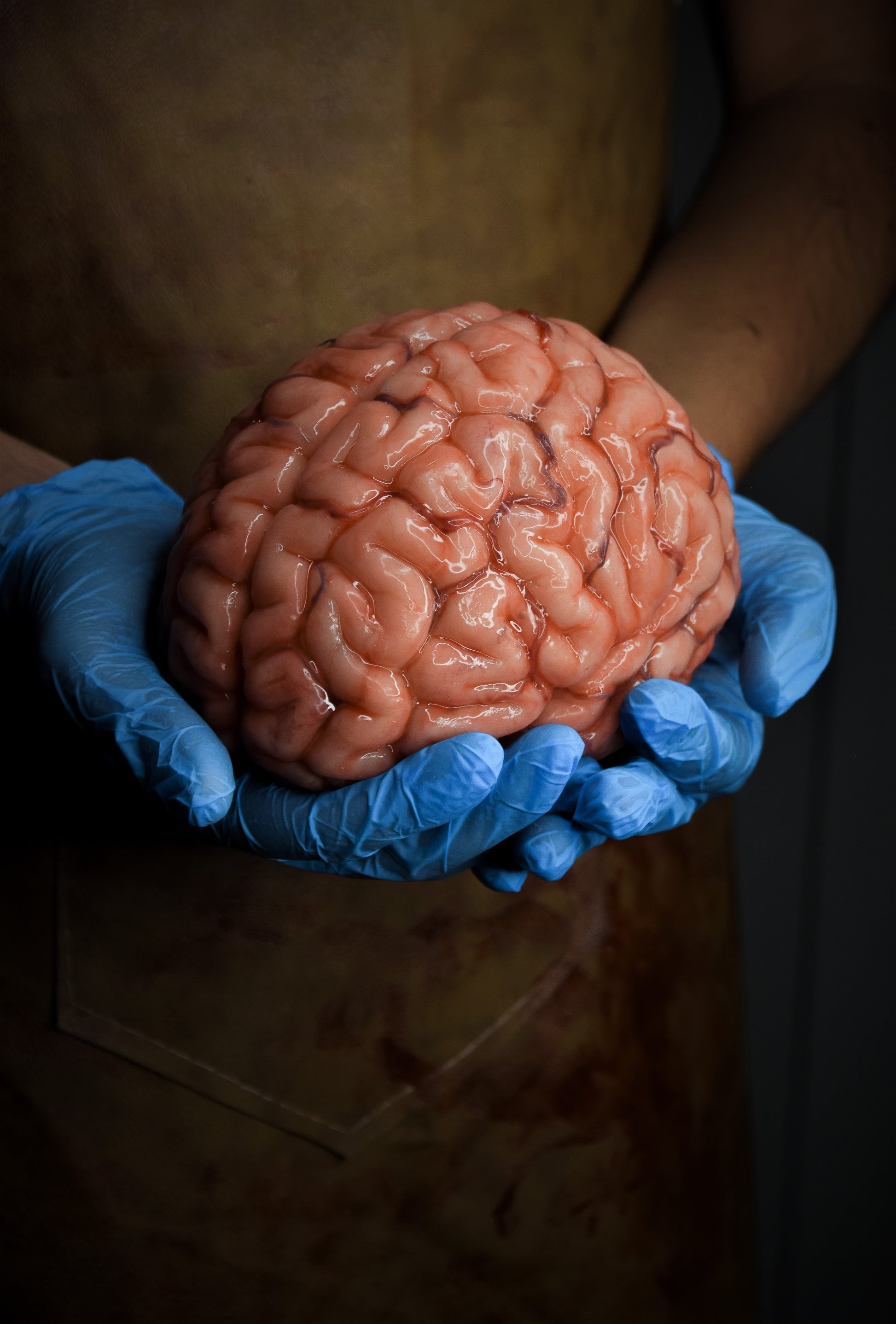 real human brain pictures